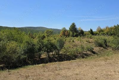 Casă cu 2 camere în Chicerea - 3