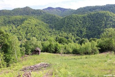 Teren în Malaia - 6