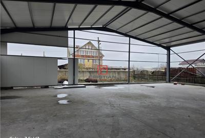 Depozit/hala/spatiu industrial Pantelimon - Comuna Pantelim - 2