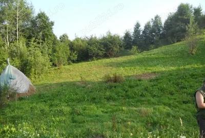 Teren intravilan Breaza (Prahova) - 1223 mp Teren intravilan Breaza (Prahova) - 1223 mp - 2