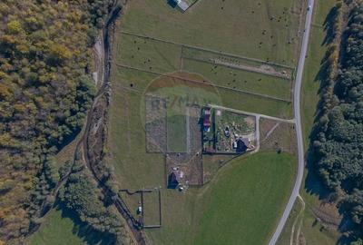 Teren Construcții intravilan de 2100 mp, în Plaiul Foii - 6