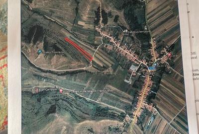 Teren de 9000 mp, în Râmeț - 10