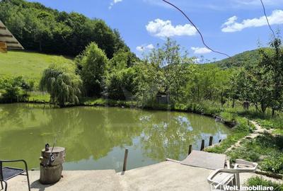Casa de vacanta, cu lac, 5640 mp teren, Huta, com. Chiuiesti, jud. Cluj