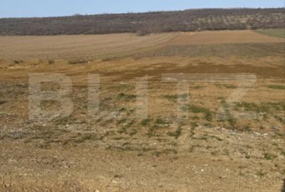 Teren de 3200 mp, în Central