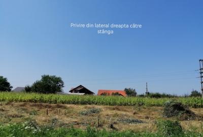 Vând Teren intravilan în Simeria zonă superbă și liniștită - 5