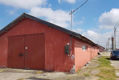 Spațiu comercial, de 250 mp, în Moșnița Nouă - 2