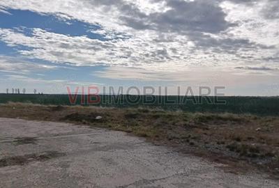 Ferma Agricola 1.350 Hectare Grad de Comasare 9697%, Chi?ineu Cri?, Jude?ul Arad - 10