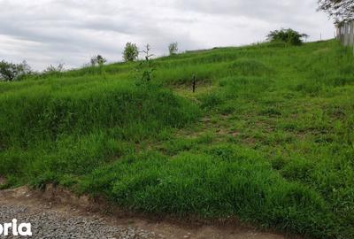 Teren de 2506 mp, în Baciu - 3