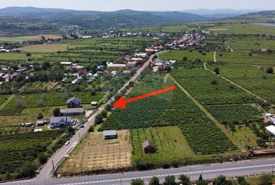 Casa sau Spatiu Dumbraveni langa DN E85 - 18