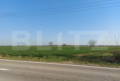 Teren de 11600 mp, în Central - 1