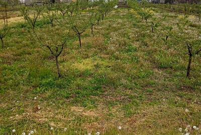 Casă cu 3 camere în Catanele - 2