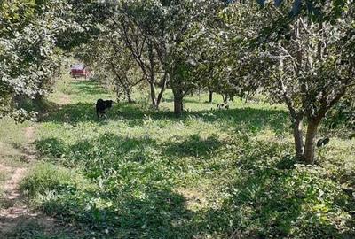 Casa teren intravilan 2800 mp - 9