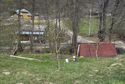 Spațiu comercial, în Râu Alb de Jos - 1