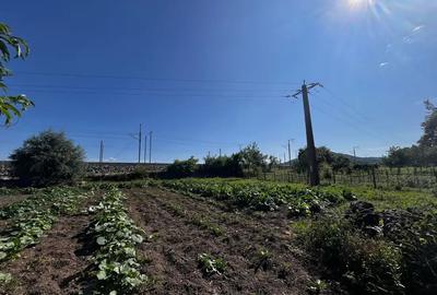 Casa de vanzare comuna Burjuc - 5