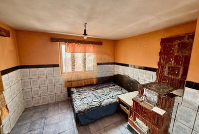 Casă cu 4 camere cu Teren 7727 Mp în Blidari (Cârligele) - 4