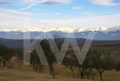 Teren de vanzare in Daia, Sibiu - 600 mp, priveliste superba spre munti Teren de vanzare in Daia, Sibiu - 600 mp, priveliste superba spre munti - 4