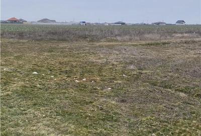 RECO Teren intravilan in Livada de Bihor 1000mp - 8