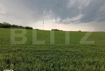 Casă cu 4 camere în Jichișu de Jos - 6