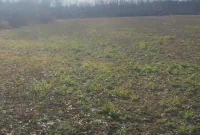 Teren de 6700 mp, în Gălețeanu - 4