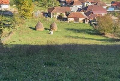 Casă cu 3 camere în Roșia - 5