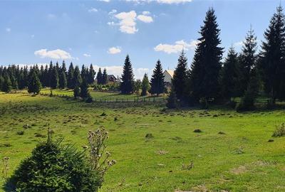 Teren Construcții de 1350 mp, în Beliș - 4