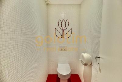 INVESTITIE/PRELUARE CHIRIAS/PARTER PLUS ETAJ INVESTITIE/PRELUARE CHIRIAS/PARTER PLUS ETAJ - 56