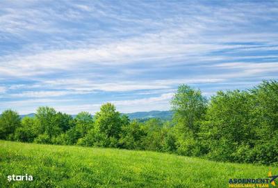 Spațiu comercial, în Șelari - 6