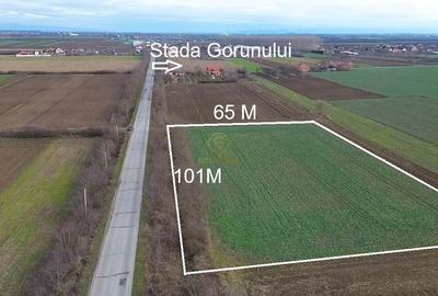 Teren de 6600 mp, în Lazuri - 1