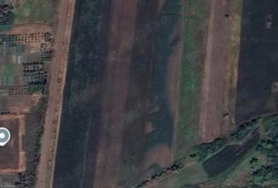 Teren de 11000 mp, în Răscruci - 4