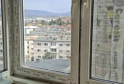 Apartament cu 2 camere decomandat în Bejan - 2