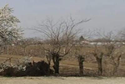 Teren de 2800 mp, în Central