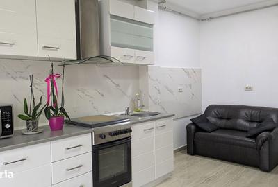 Garsonieră decomandată în Podgoria - 5