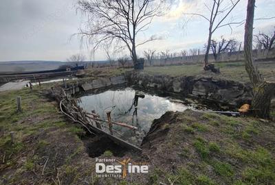 Teren de 2225 mp, în Mogoșești - 3