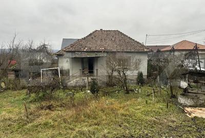 Casă cu 4 camere cu Teren 3000 Mp în Cășeiu - 17