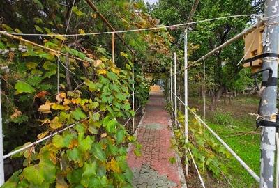 Vnzare pensiune Techirghiol lângă Sanatoriul Balnear - 13