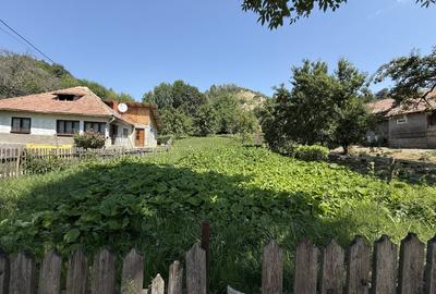 Teren intravilan, 2476 mp in cadru natural, regim P+1E+M | COMARNIC - 8