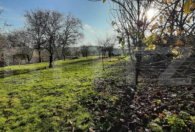 Casa individuala de vanzare, 125 mp, 2112 mp teren, in Deusu - 7