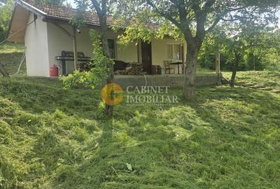 Casă individuală cu 2 camere cu Canalizare în Probota - 1