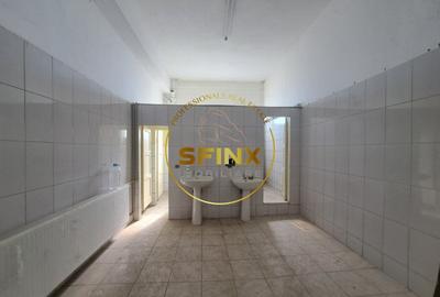 De inchiriat Spatiu Industrial - 7