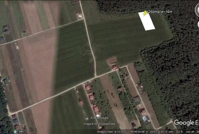 Teren intravilan inconjurat de padure - Ciofliceni, Snagov - 2