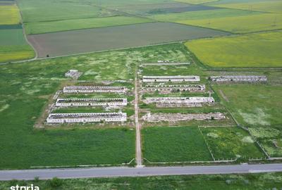 Teren de 106000 mp, în Poarta Albă - 3