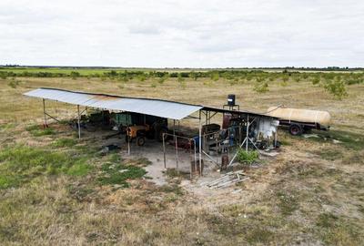 Livada BIO de nuci de vanzare langa Cermei - 1