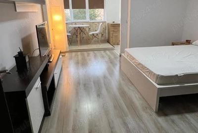 Garsonieră decomandată în Dristor - 1