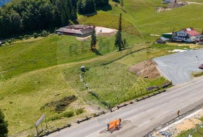 Teren 56599mp Dambovicioara / Soseaua DN 73Dealul sasului! - 9