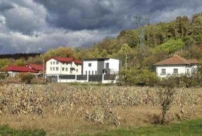 Casă cu 3 camere cu Teren 1620 Mp în Zigoneni - 3