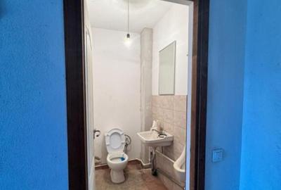 Hala de vanzare, 360 mp, zona Brestei - 3