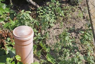 Teren de 3544 mp, în Mihăieni - 4