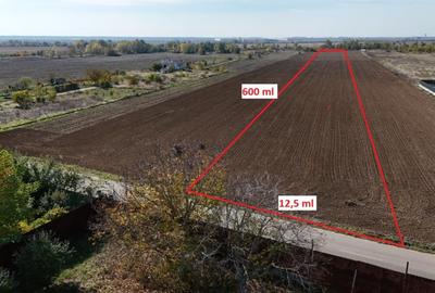 JOITA LOT 7344 MP - 2