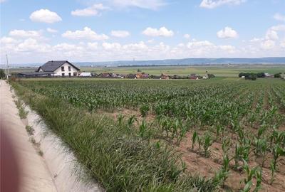Teren de 7700 mp, în Central