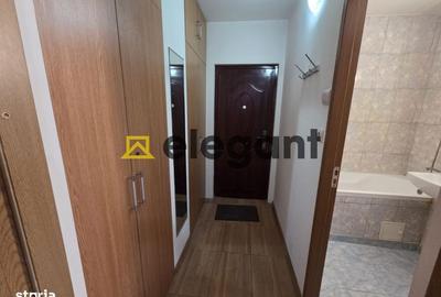 Garsonieră semidecomandată, mobilată în Valea Rosie - 2